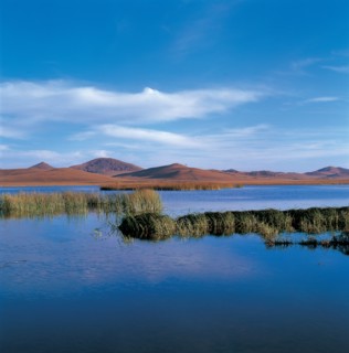 Marais, province du Hebei, Chine
