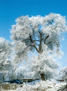 Province Jilin, Chine