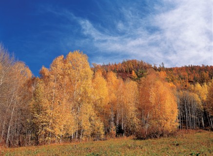 Hanas, province du Xinjiang, Chine