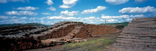 Lumberyard, Elunchun County, China
