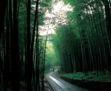Hangzhou, comté du Yunxi, Chine