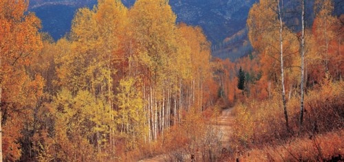Hemuxiang, province du Sinkiang, Chine