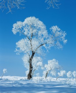 Paysage enneigé, nord-est de la Chine