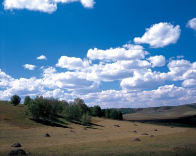 Prairie Bashang, Mongolie Intérieure, Chine