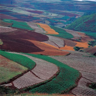 Terre rouge à Dongchaun, province du Yunnan, Chine