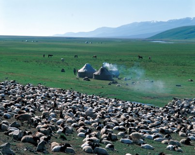 Prairie Nalati, province du Xinjiang, Chine