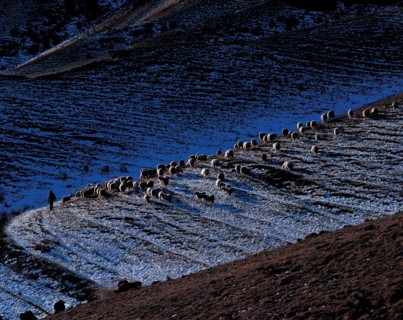 Prairie Nalati, province du Xinjiang, Chine