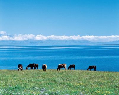 Lac Sailimu, province du Xinjiang, Chine
