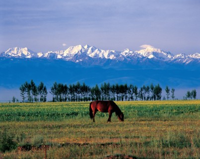 Nature, province du Xinjiang, Chine