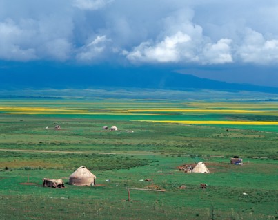Prairie, province du Xinjiang, Chine