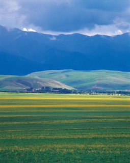 Nature, province du Xinjiang, Chine