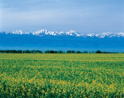 Nature, province du Xinjiang, Chine