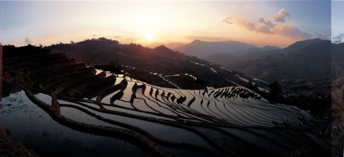 Terrace Yuanyang, province du Yunnan, Chine