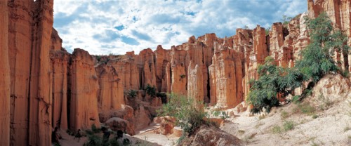 Forêts d'argile de Yuanmou, province du Yunnan, Chine.