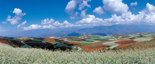 Terre rouge de Dongchuan, Yunnan Province, Chine
