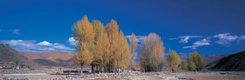 Daocheng, Sichuan Province, Chine