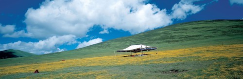 Prairie à GanZi, province du Sichuan, Chine
