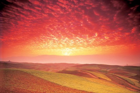 Terre rouge de Dongchuan, province du Yunnan, Chine