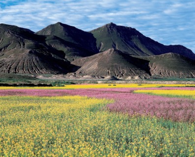Xigaze, Tibet, Chine