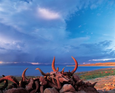Le lac saint, Mapam Yumco, à Ngari, Tibet, Chine