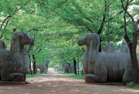 Nanjing, Tombe Ming, Chine