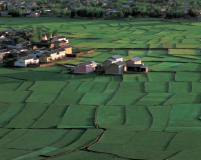 Ferme, Chine