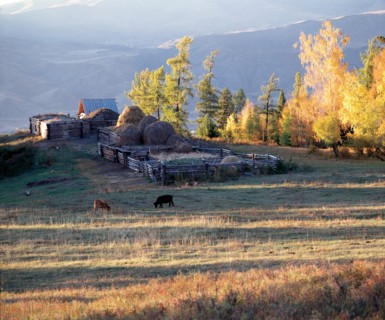 Ferme dans la région autonome du Xinjiang, Chine