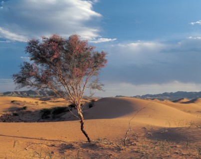 Paysage, Chine
