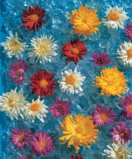Fleurs dans l'eau, Chine