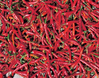 Piments, Chine