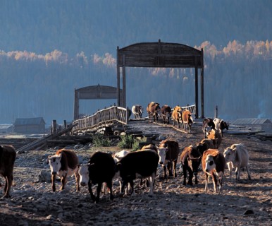 La lac Tiashi, dans la région autonome du Xinjiang, Chine