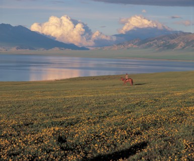 Cavalier au bord d'un lac, Chine