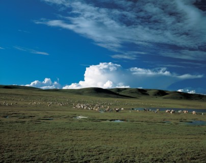 Plateau, Chine
