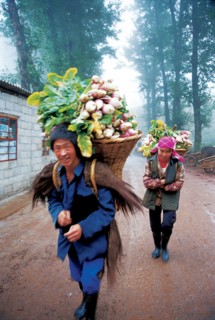 Récoltes, Dongchuan, province du Yunnan, Chine