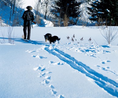 Hunter, China