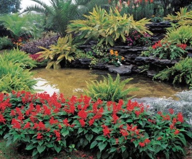 Jardin, Chine