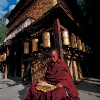 Lama, Chine