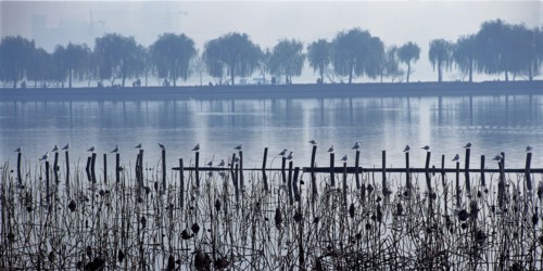 La digue Bai du Lac de l'Ouest, Chine