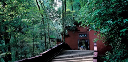 Forêt du Mont QingCheng, Chine