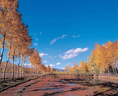 Paysage, Chine