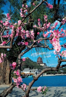 Le Pavillon des Fragrances Bouddhiques, Chine