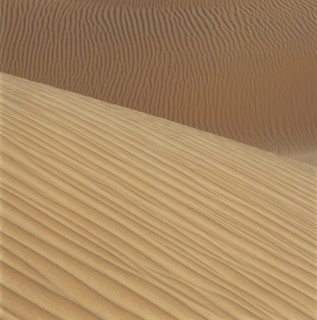 Dune, Chine