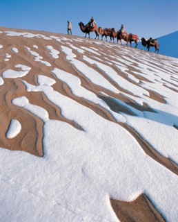 Caravane de chameaux, Chine
