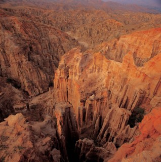 Clay Forest, Zhima, Yunnan Province, China