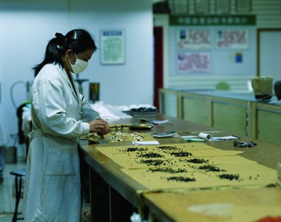 a doctor is confecting the traditional Chinese medicine