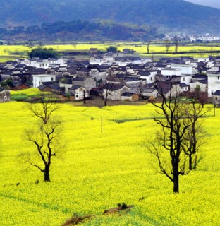 The cole fileds of Yixian County,Anhui Province,China