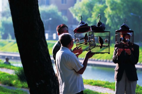 Old people walk birds in cages for fun by the river of Shenyang,Liaoning Province,China