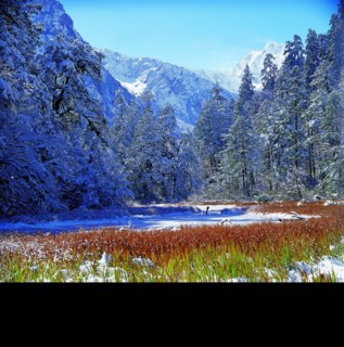 Hailuogou,Mt.Gongga,Sichuan Province,China