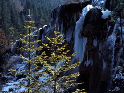 Frozen Nuorilang Fall in Jiuzhaigou, China