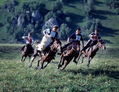 Uygur man scramble for a sheep